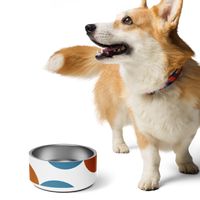 Party In The House Pet Bowl