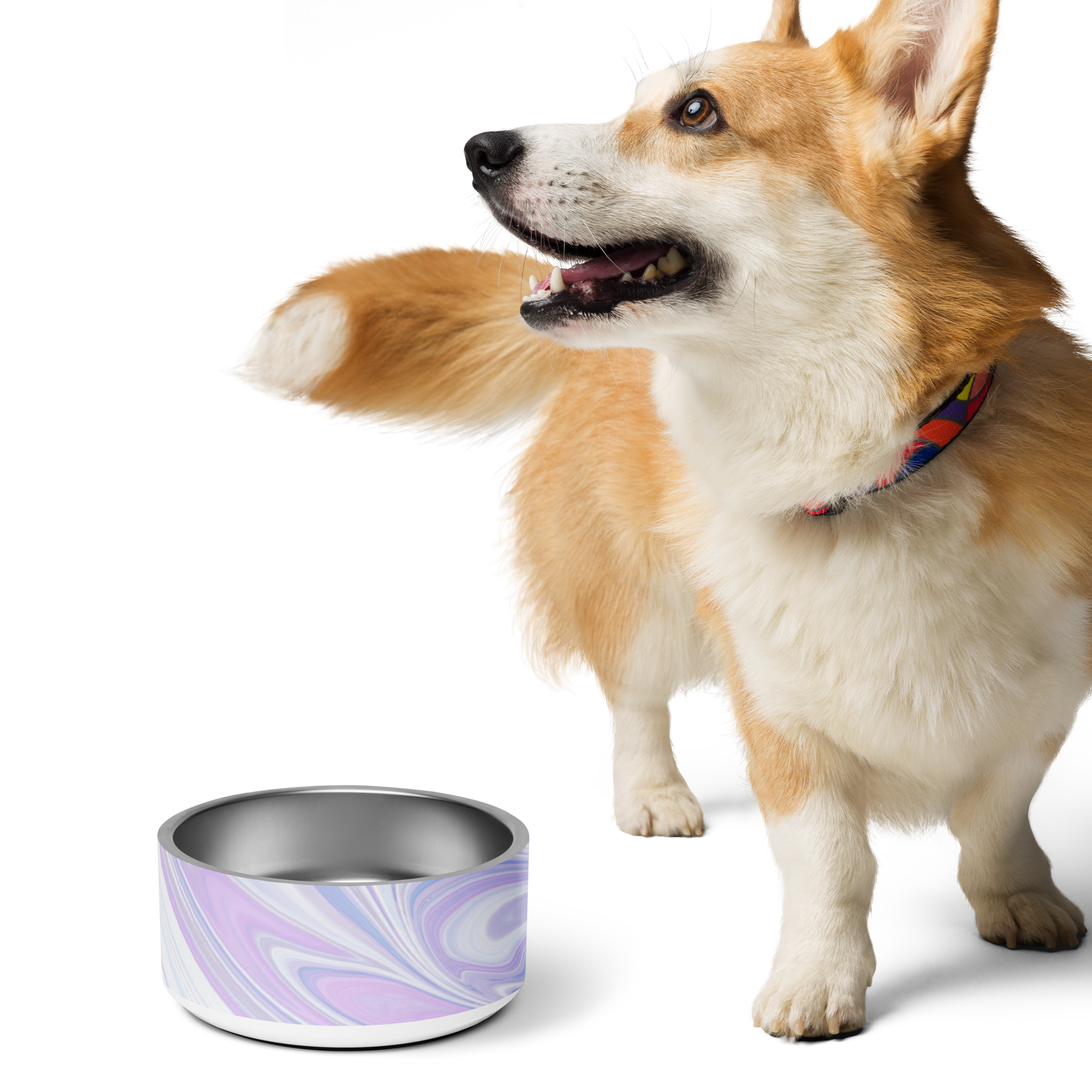 Blue Booberry Pet Bowl