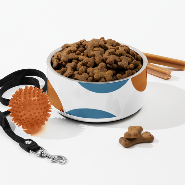 Party In The House Pet Bowl