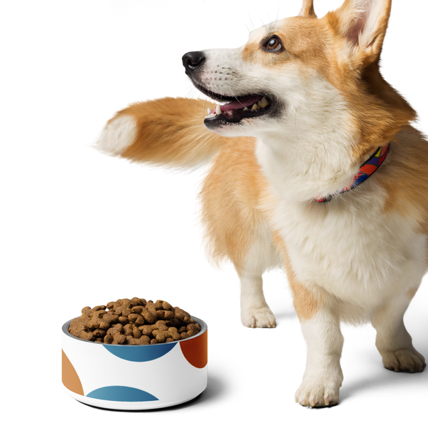 Party In The House Pet Bowl