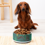 Blesser Bart Pet Bowl