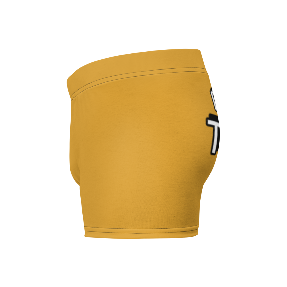 Theories Boxer Briefs